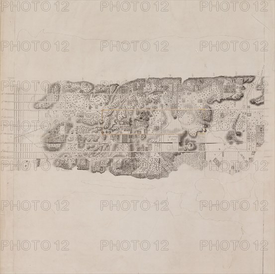 Topographical Map of the City and County of New-York and the Adjacent Country