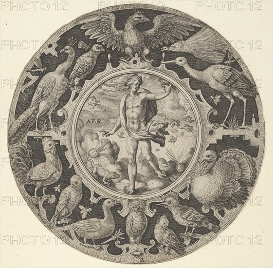 'Aer' in a Decorative Border with Birds