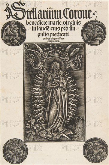 Virgin on a Crescent