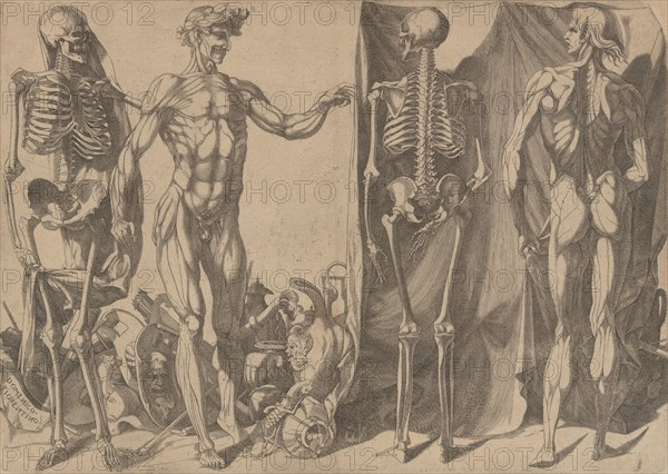 Two Flayed Men and Their Skeletons