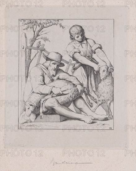 Two men sheep shearing