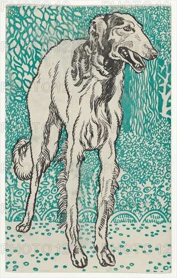 Greyhound