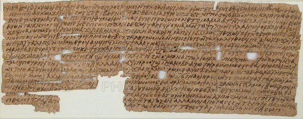 Papyrus