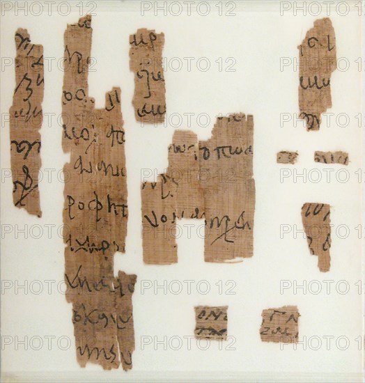 Papyrus Fragments of a Legal Document