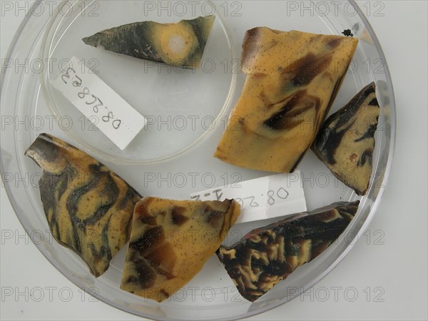 Glass Fragments