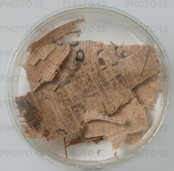 Papyri Fragments