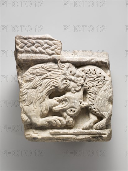 Fragment of an Animal Relief