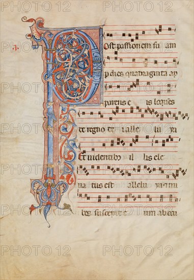 Manuscript Leaf with Foliated Initial P