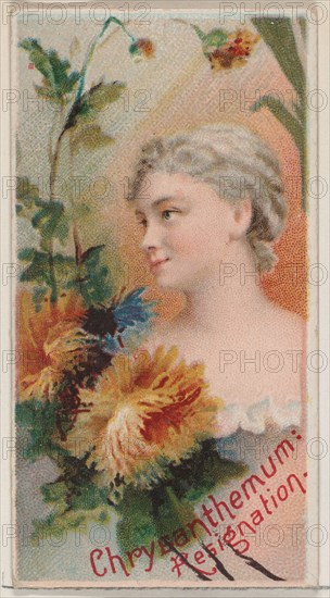 Chrysanthemum: Resignation, from the series Floral Beauties and Language of Flowers (N75) for Duke brand cigarettes, 1892.