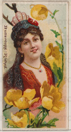 Buttercups: Riches, from the series Floral Beauties and Language of Flowers (N75) for Duke brand cigarettes, 1892.