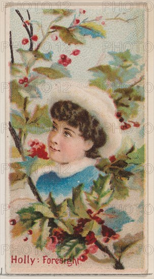 Holly: Foresight, from the series Floral Beauties and Language of Flowers (N75) for Duke brand cigarettes, 1892.