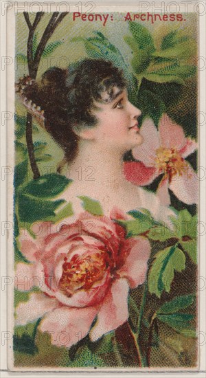 Peony: Archness, from the series Floral Beauties and Language of Flowers (N75) for Duke brand cigarettes, 1892.