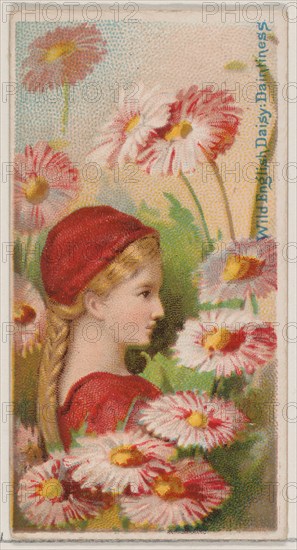 Wild English Daisy: Daintiness, from the series Floral Beauties and Language of Flowers (N75) for Duke brand cigarettes, 1892.