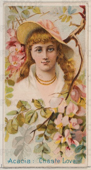 Acacia: Chaste Love, from the series Floral Beauties and Language of Flowers (N75) for Duke brand cigarettes, 1892.