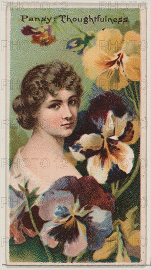 Pansy: Thoughtfulness, from the series Floral Beauties and Language of Flowers (N75) for Duke brand cigarettes, 1892.