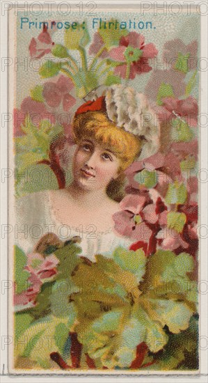 Primrose: Flirtation, from the series Floral Beauties and Language of Flowers (N75) for Duke brand cigarettes, 1892.