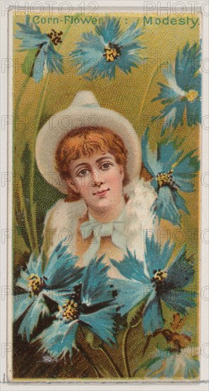 Cornflower: Modesty, from the series Floral Beauties and Language of Flowers (N75) for Duke brand cigarettes, 1892.
