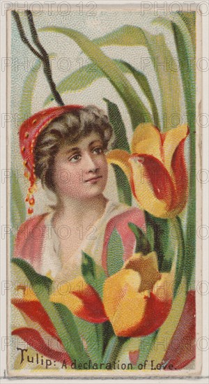 Tulip: A Declaration of Love, from the series Floral Beauties and Language of Flowers (N75) for Duke brand cigarettes, 1892.