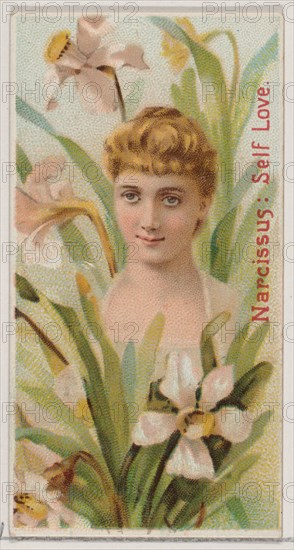 Narcissus: Self Love, from the series Floral Beauties and Language of Flowers (N75) for Duke brand cigarettes, 1892.