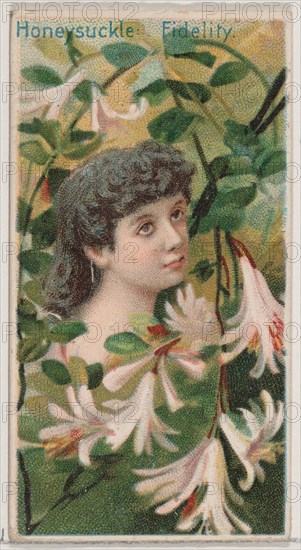 Honeysuckle: Fidelity, from the series Floral Beauties and Language of Flowers (N75) for Duke brand cigarettes, 1892.