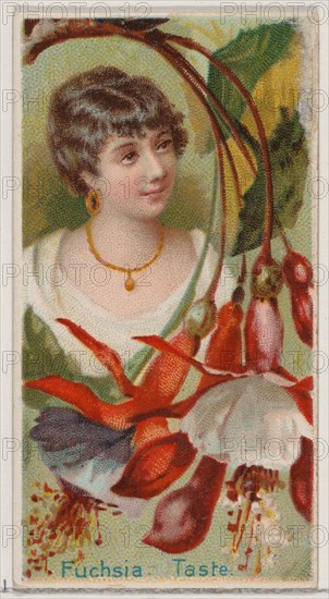 Fuchsia: Taste, from the series Floral Beauties and Language of Flowers (N75) for Duke brand cigarettes, 1892.