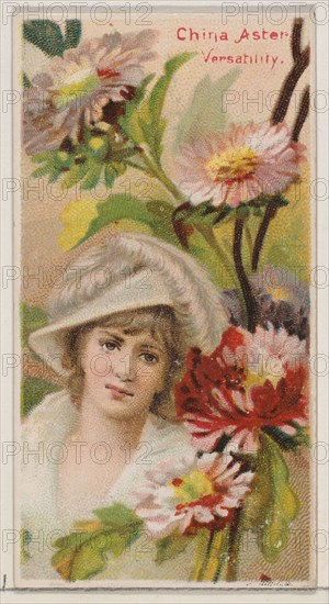 China Aster: Versatility, from the series Floral Beauties and Language of Flowers (N75) for Duke brand cigarettes, 1892.