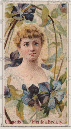 Clematis: Mental Beauty, from the series Floral Beauties and Language of Flowers (N75) for Duke brand cigarettes, 1892.