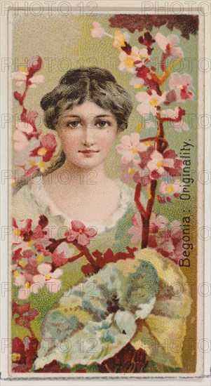Begonia: Originality, from the series Floral Beauties and Language of Flowers (N75) for Duke brand cigarettes, 1892.