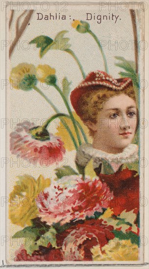 Dahlia: Dignity, from the series Floral Beauties and Language of Flowers (N75) for Duke brand cigarettes, 1892.