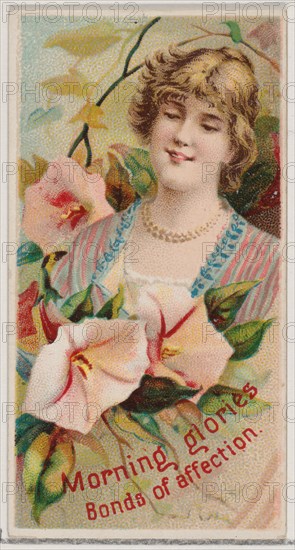 Morning Glories: Bonds of Affection, from the series Floral Beauties and Language of Flowers (N75) for Duke brand cigarettes, 1892.