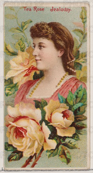 Tea Rose: Jealousy, from the series Floral Beauties and Language of Flowers (N75) for Duke brand cigarettes, 1892.