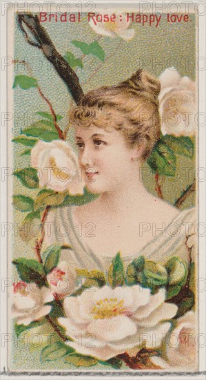 Bridal Rose: Happy Love, from the series Floral Beauties and Language of Flowers (N75) for Duke brand cigarettes, 1892.