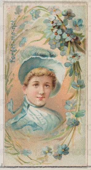 Forget-Me-Not, from the series Floral Beauties and Language of Flowers (N75) for Duke brand cigarettes, 1892.