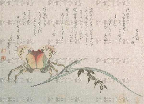 Crab and Rice Plant, 19th century.