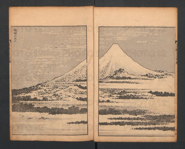 Mount Fuji of the Bamboo Grove, from One Hundred Views of Mount Fuji, 1835.