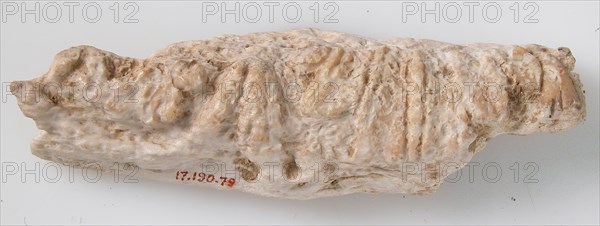 Relief Fragment with Floral Design, Coptic, 6th-7th century.