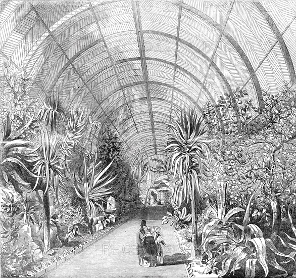 The great Chatsworth Conservatory - the interior, from the Central Walk, 1844. Creator: Unknown.