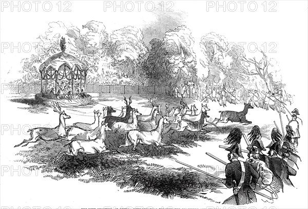 The Deer Shooting at Gotha - deer breaking through the chasseurs and keepers, 1845. Creator: Unknown.