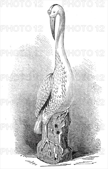 Rare old India China stork, 1845. Creator: Unknown.