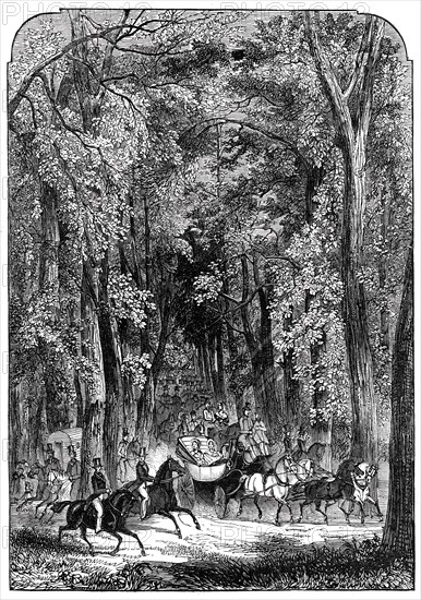 Road through Goodwood Park, 1844. Creator: Unknown.