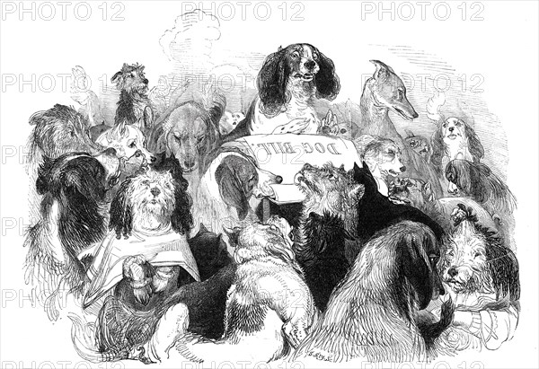 The Dog Bill Committee, drawn by T. Landseer, 1844. Creator: Thomas Landseer.