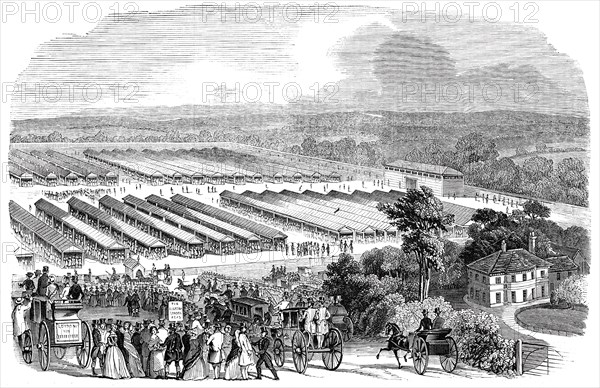 The Cattle Show, Portswood, 1844. Creator: Unknown.