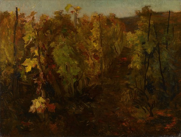 La Vigne [The Vine]