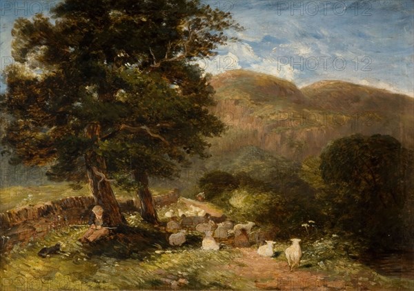 Tending Sheep