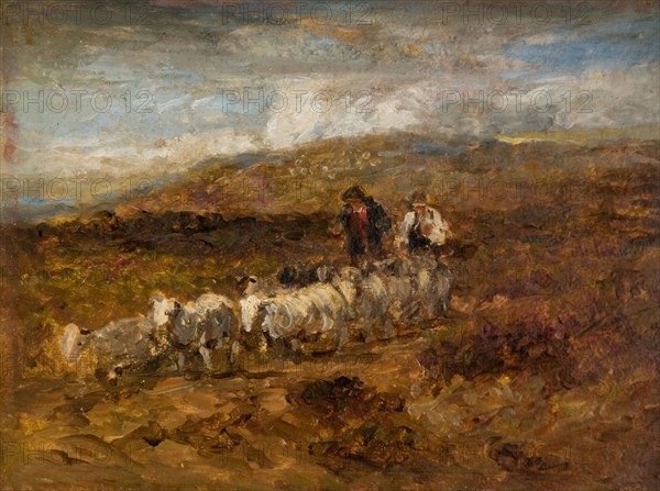 Welsh Shepherds