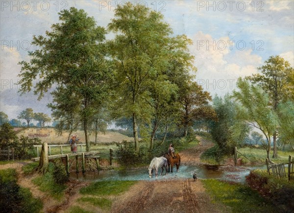 Rural Scene With Horses at Stream