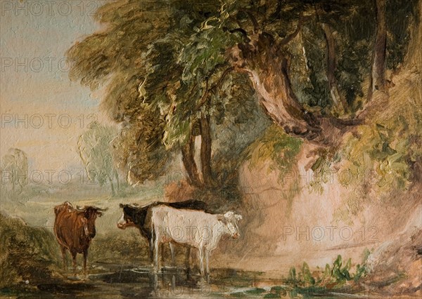 Pastoral Scene With Cattle