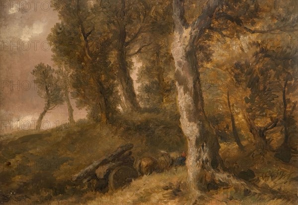 Study of Trees