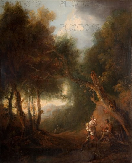 A Wooded Landscape