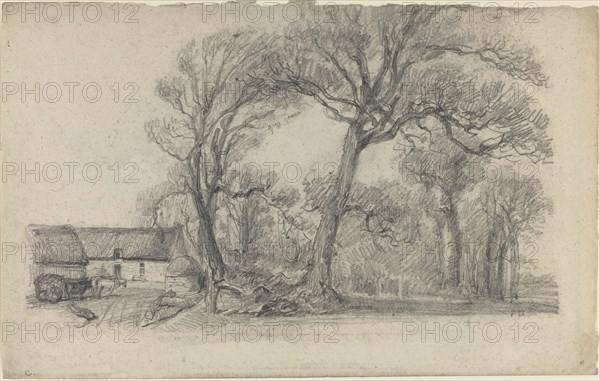 Landscape with Trees